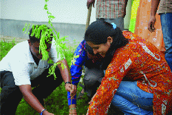 Planting Trees