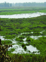 Land between Adverse Position which both nations for fishing