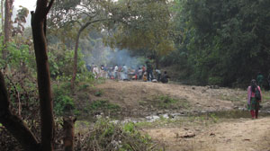 A group of tourists visiting the reserve forest. 