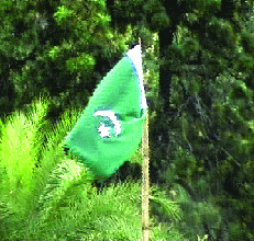 Hoisted Pakistani flag( Ub Photos) Flag of Pakistan hoisted in Assam 2008