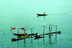 Rudrasagar Lake of Tripura Rudrasagar Lake of Tripura