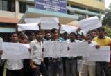 Fish traders calling for an enquiry into the syndicates